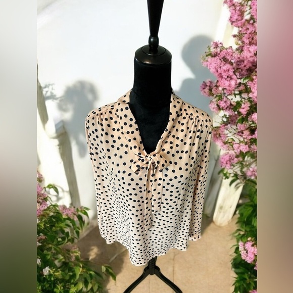 Polka Dot Women's Top - Picture 1 of 4